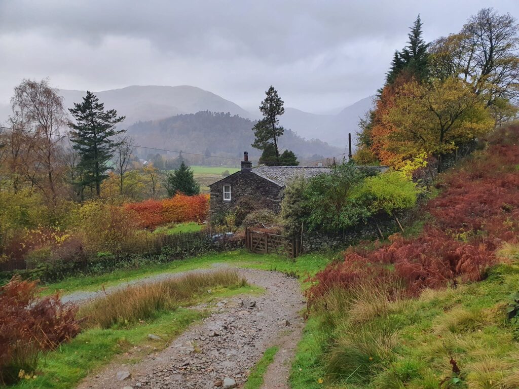 Colours on a wet day Lake District